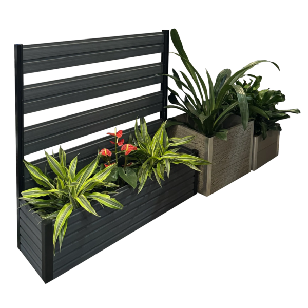 WPC planter boxes with horizontal privacy screen and mixed green plants for outdoor landscaping