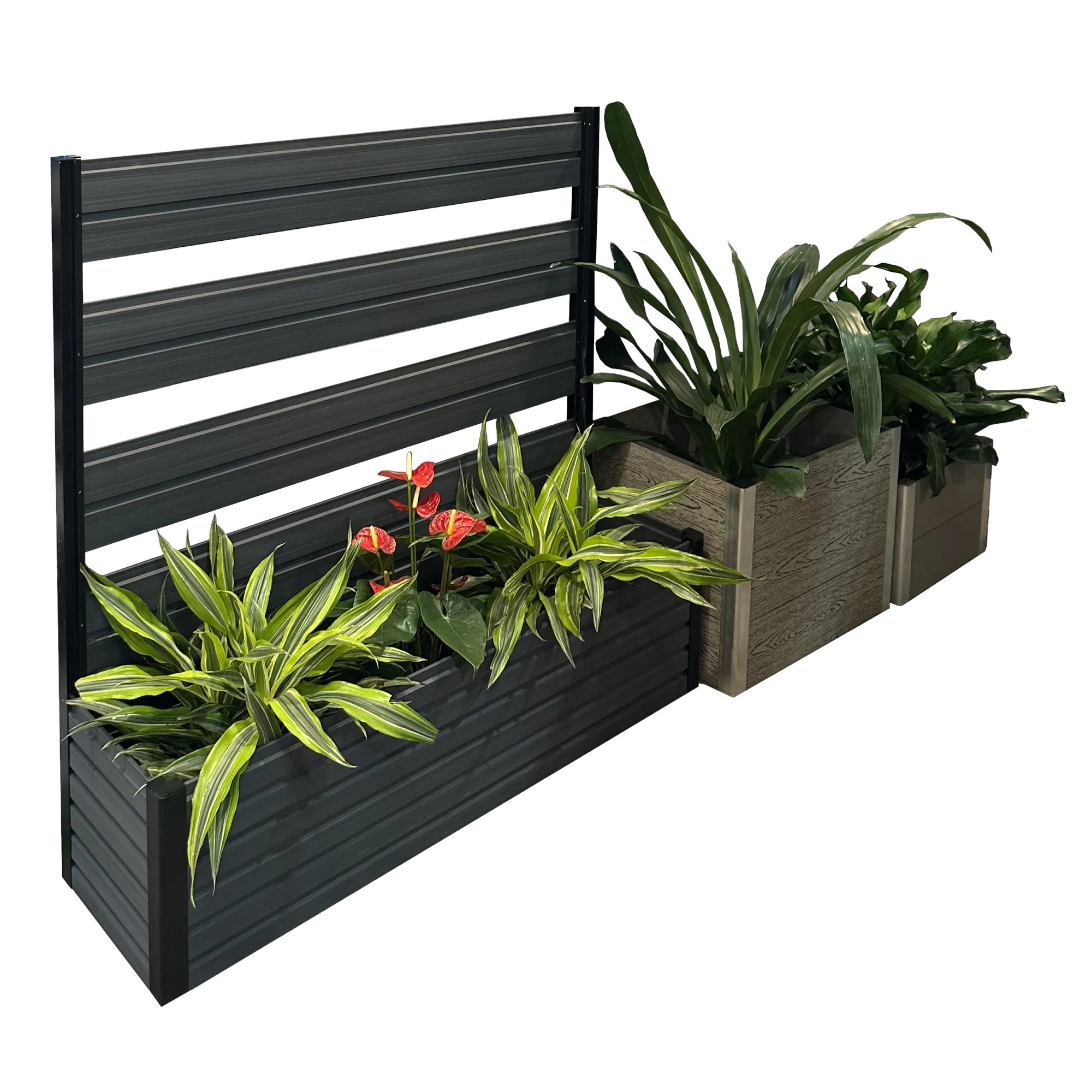 WPC planter boxes with horizontal privacy screen and mixed green plants for outdoor landscaping
